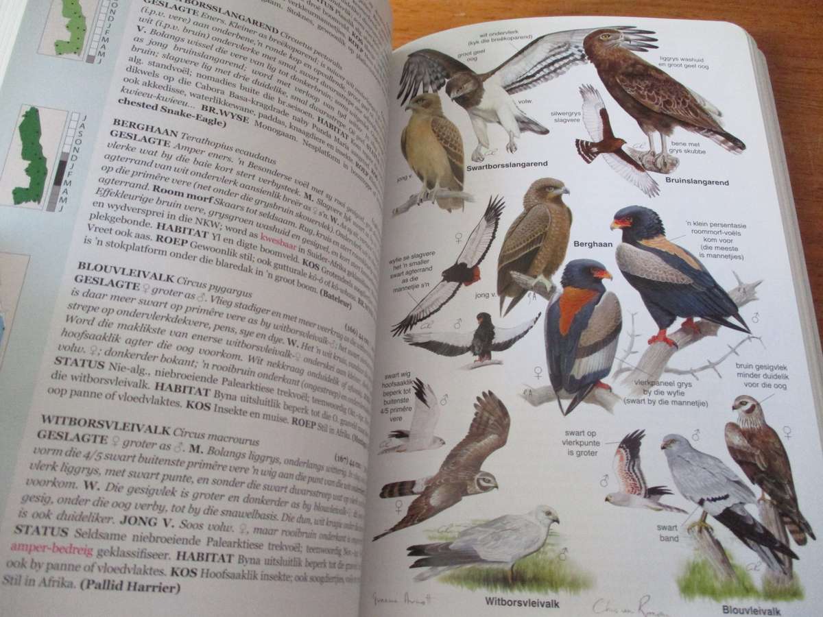 ROBERTS VOELGIDS  Nasionale Krugerwildtuin en aangrensende Laeveld Chittenden Whyte