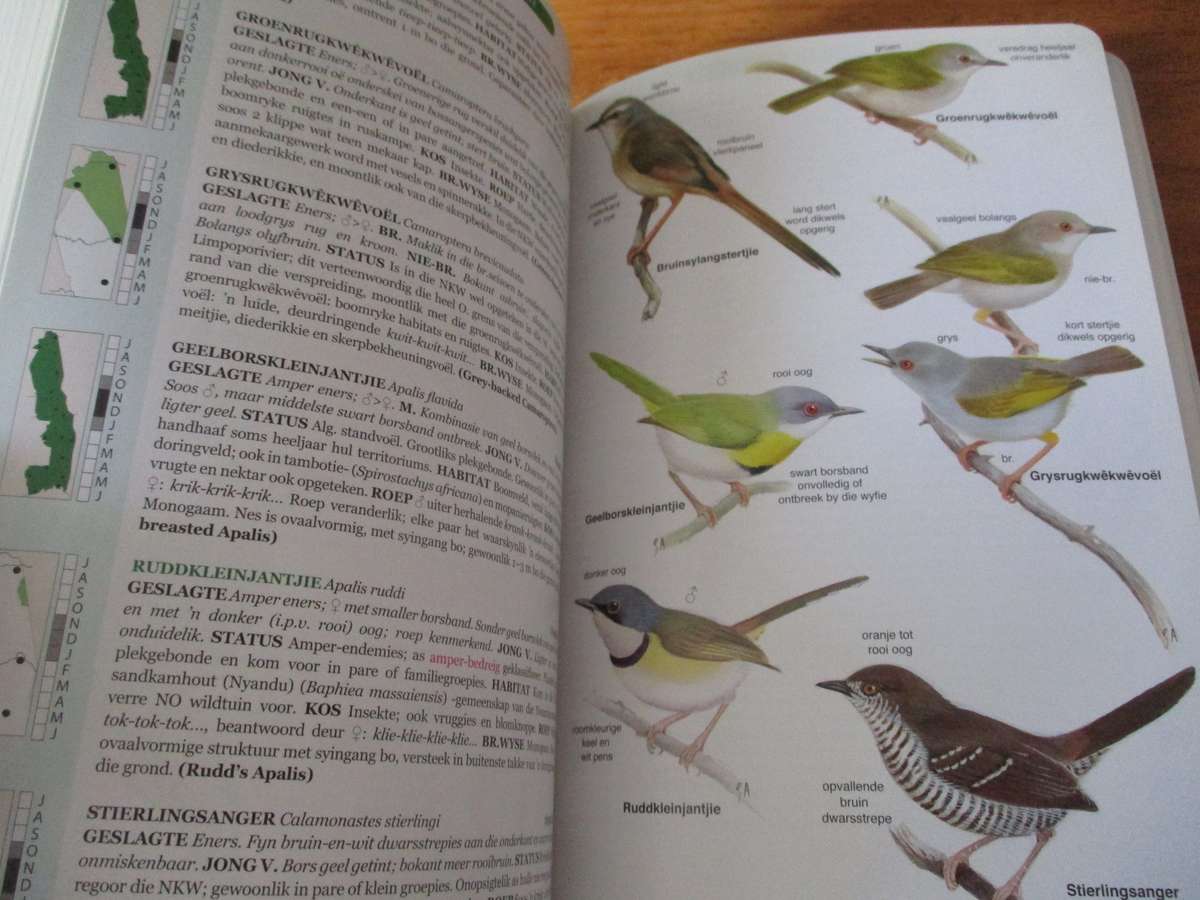 ROBERTS VOELGIDS  Nasionale Krugerwildtuin en aangrensende Laeveld Chittenden Whyte