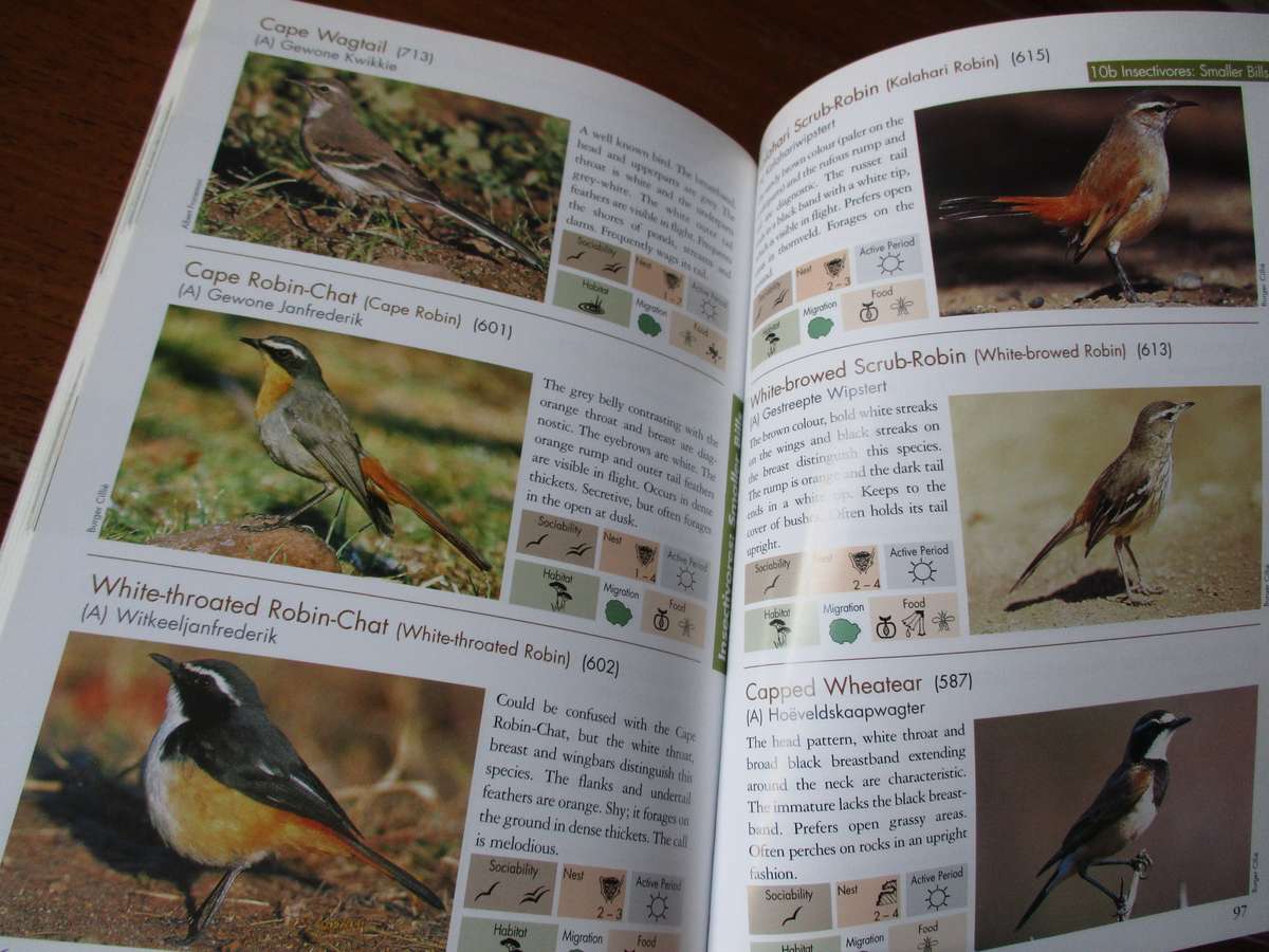 ANIMALS of Pilansbeg an identification guide  B. Cillie, U Oberprieler , C Joubert