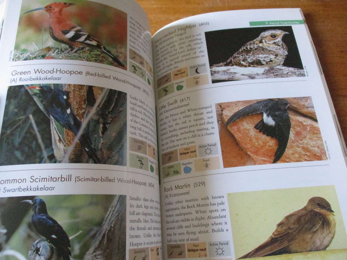 ANIMALS of Pilansbeg an identification guide  B. Cillie, U Oberprieler , C Joubert