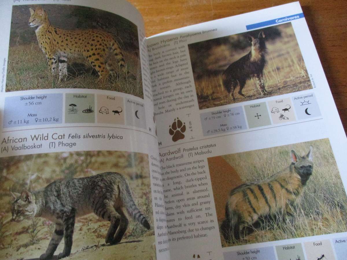 ANIMALS of Pilansbeg an identification guide  B. Cillie, U Oberprieler , C Joubert