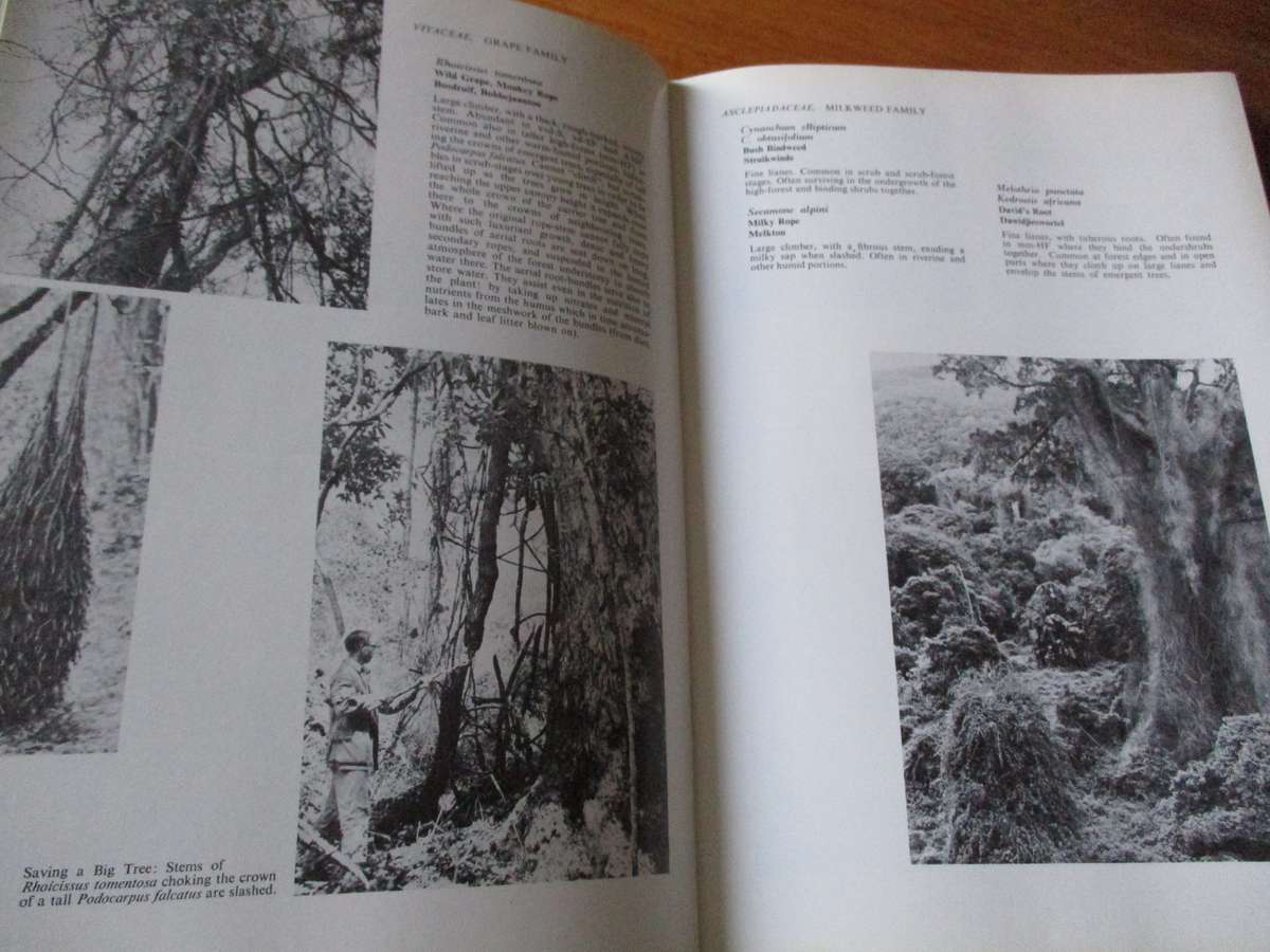 SIGNED. Southern Cape Forests and Trees  F. von Breitenbach