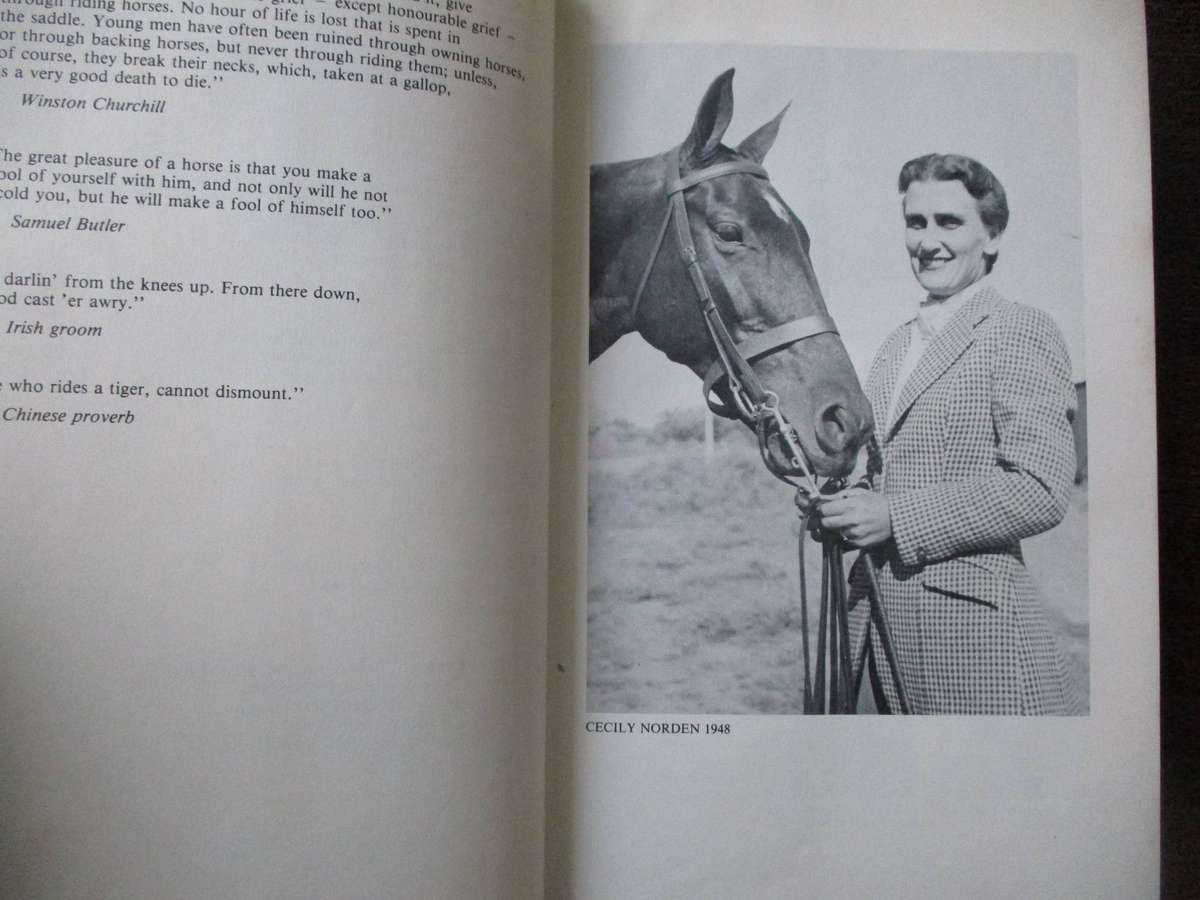 Cecily Norden - Showing Horses in South Africa
