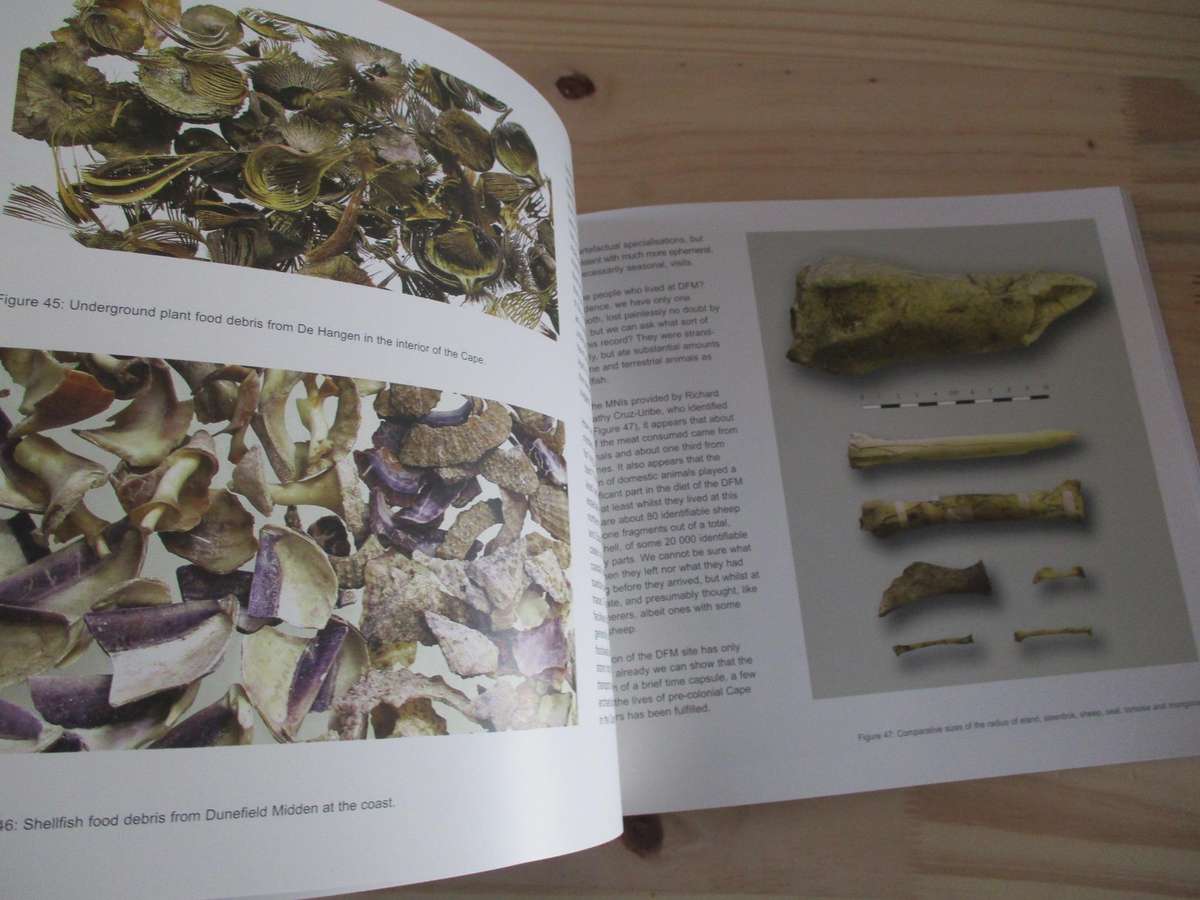 Shorelines, strandlopers and shell middens  John Parkinhgton  Follow the San....
