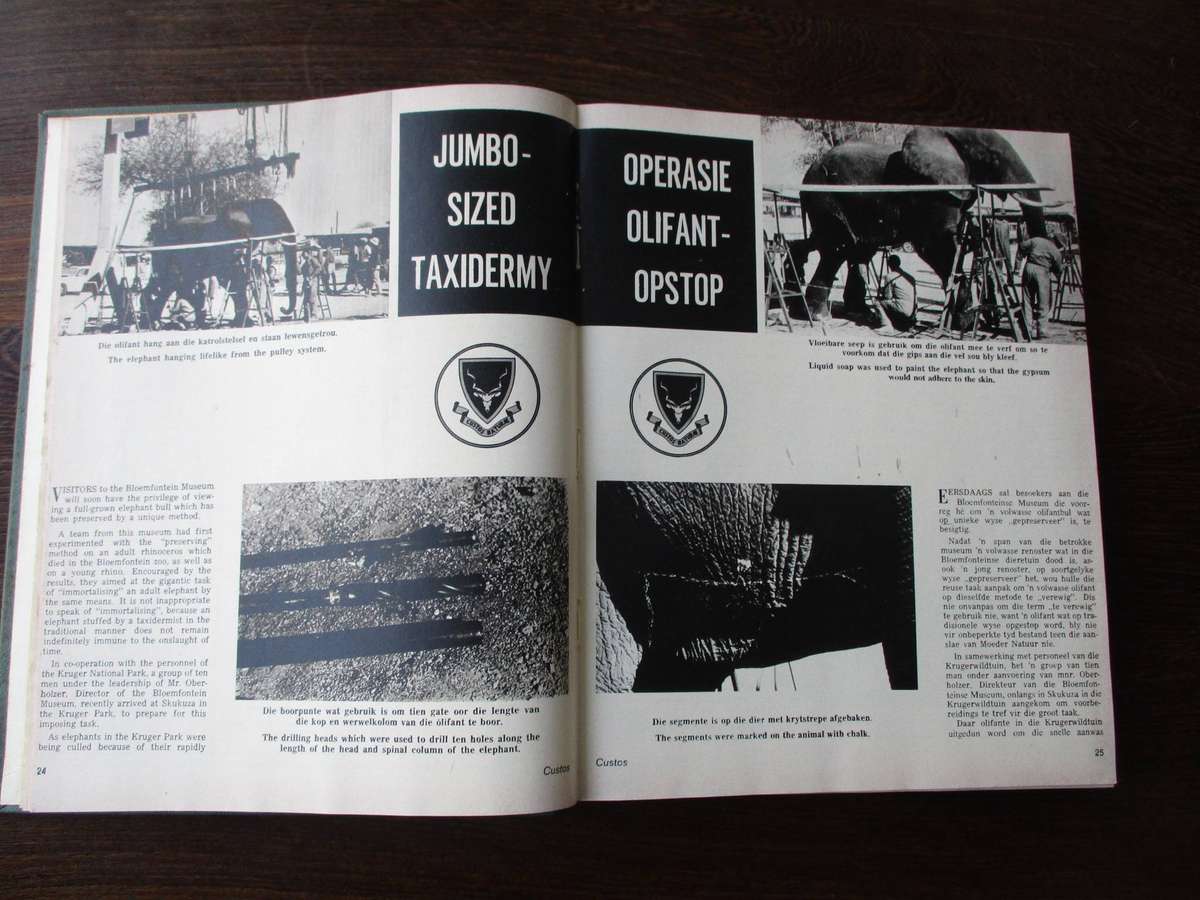 CUSTOS: Des/Dec 1971 - Nov 1972