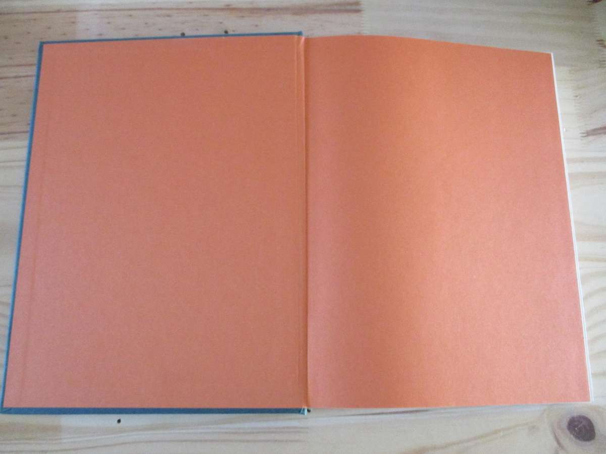 Mammals of Madagascar  Nick Garbutt