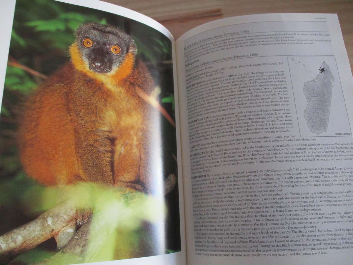 Mammals of Madagascar  Nick Garbutt