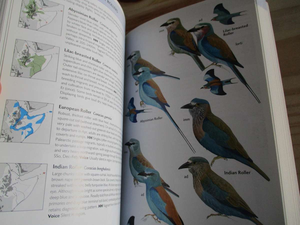 BIRDS OF THE HORN OF AFRICA - Ethiopia, Eritrea, Djibouti, Somalia, and Socotra