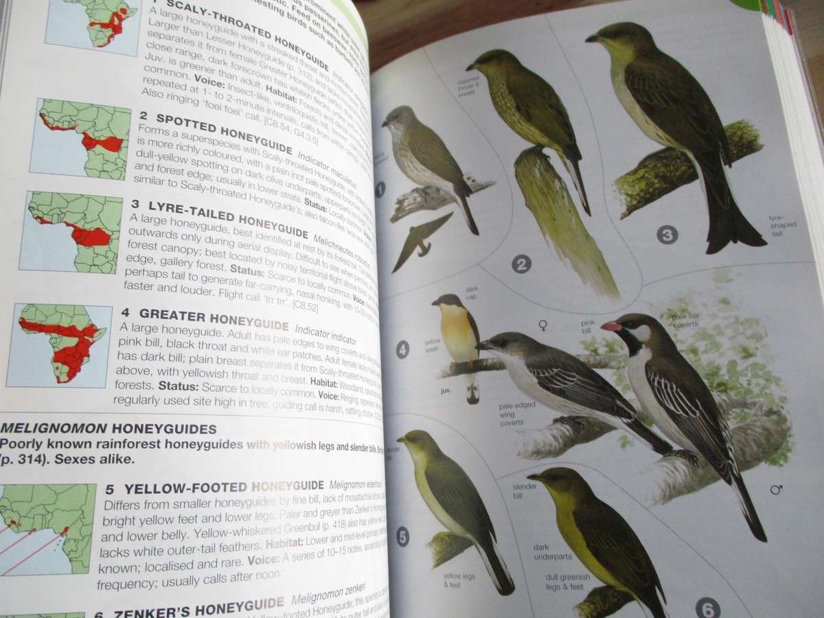 BIRDS OF AFRICA SOUTH OF THE SAHARA