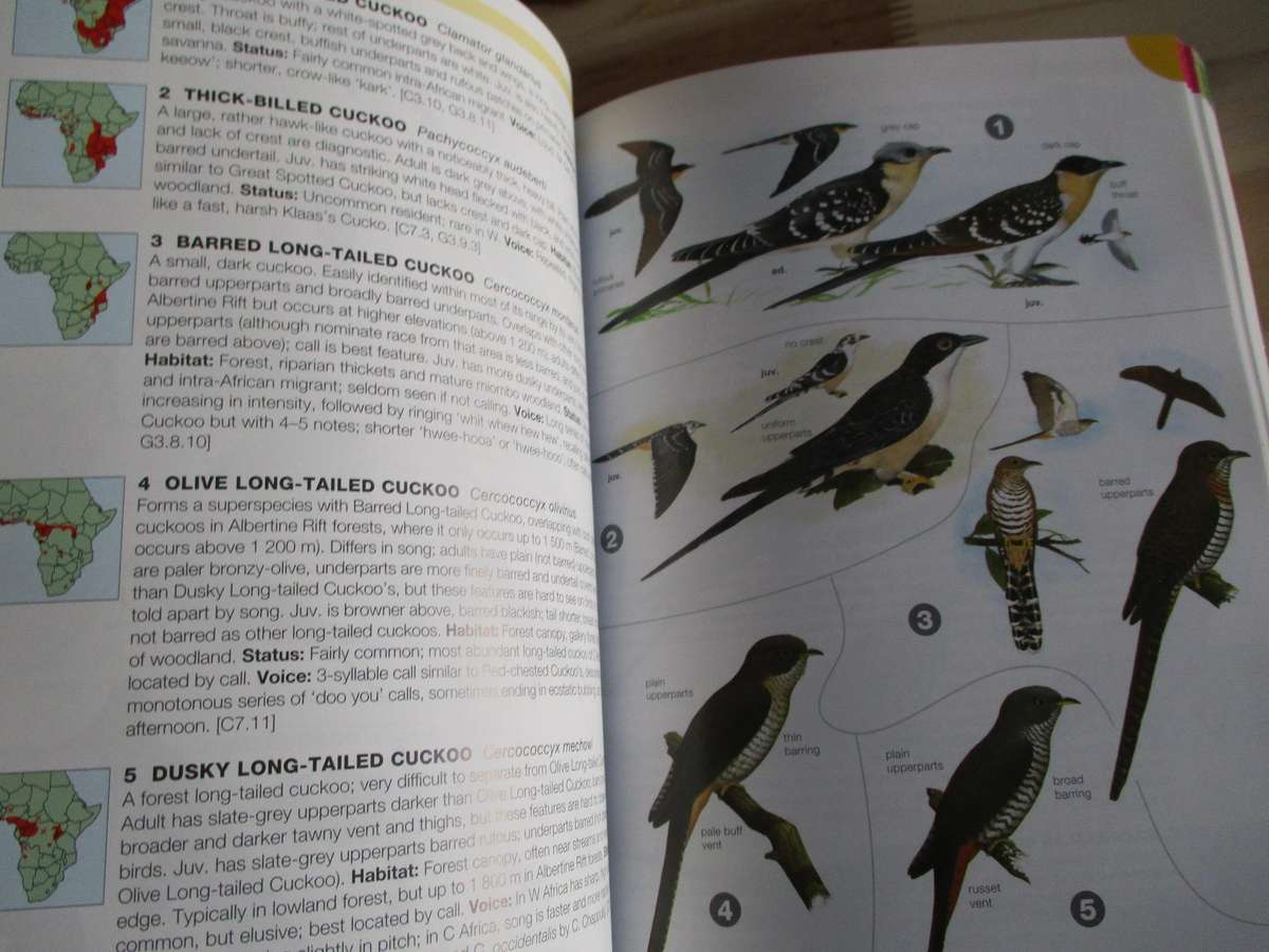 BIRDS OF AFRICA SOUTH OF THE SAHARA