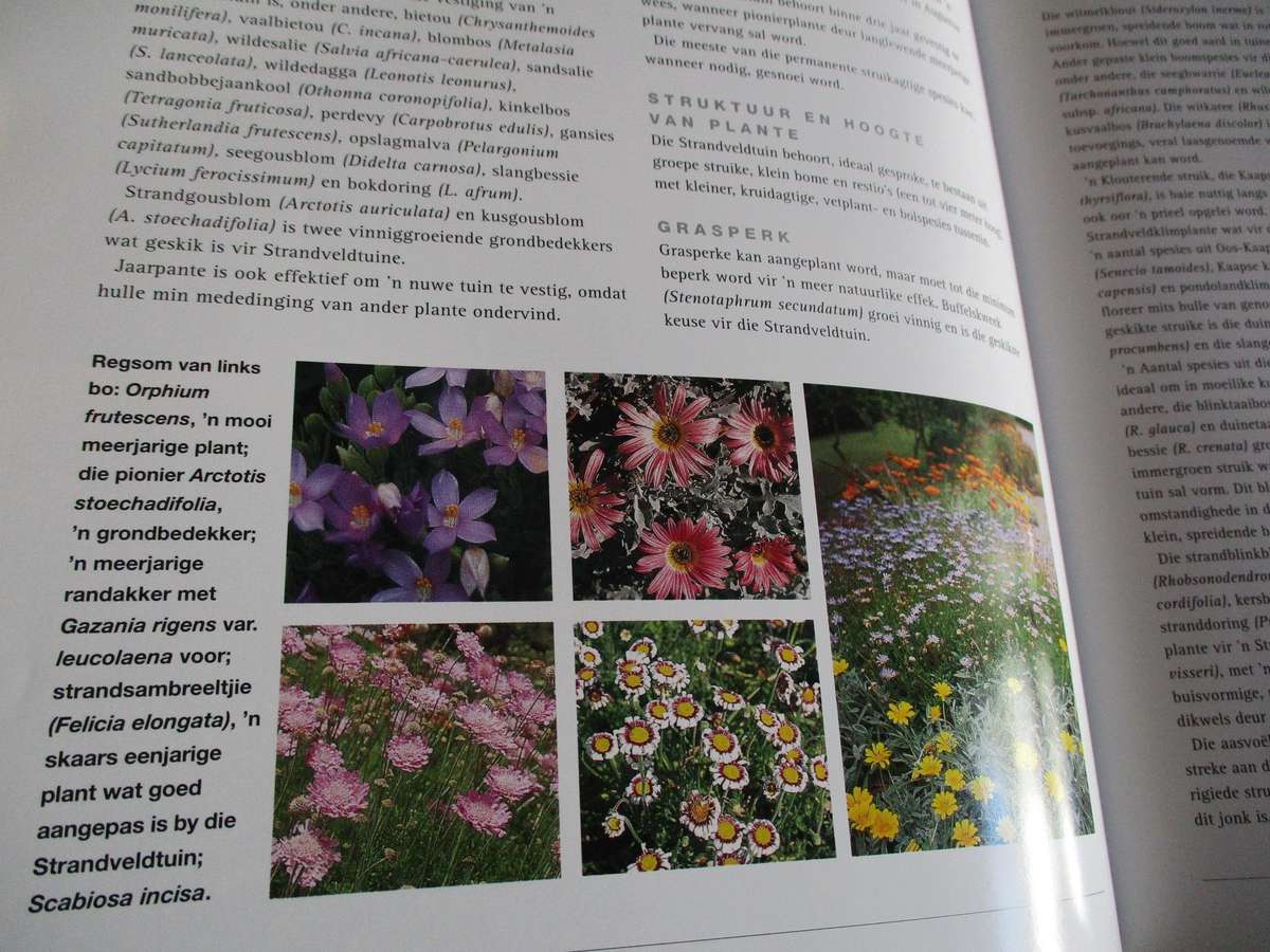 Waterbesparende Inheemse Tuinmaak - Ernst van Jaarsveld