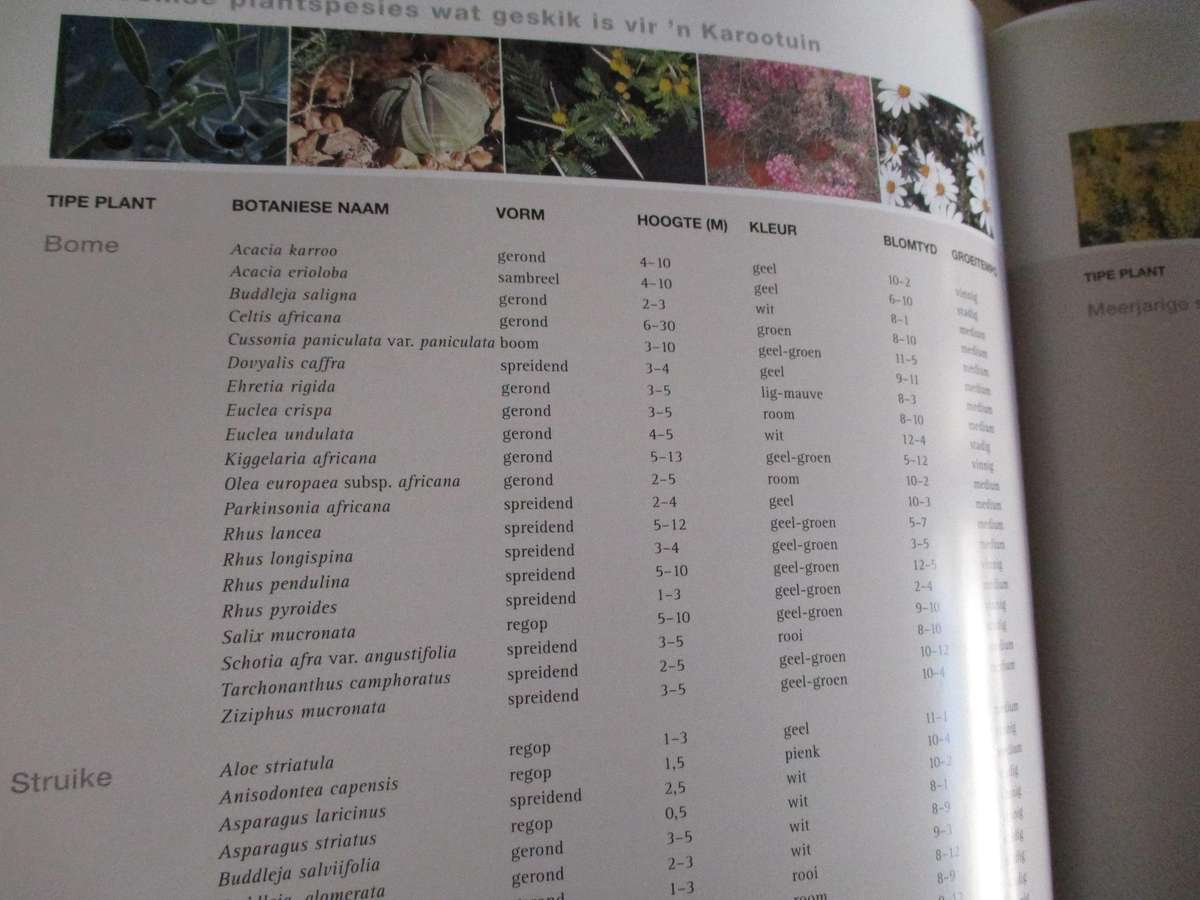 Waterbesparende Inheemse Tuinmaak - Ernst van Jaarsveld