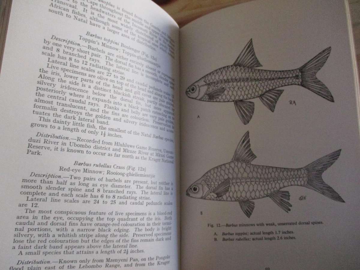 Freshwater Fishes of Natal -  R Crass