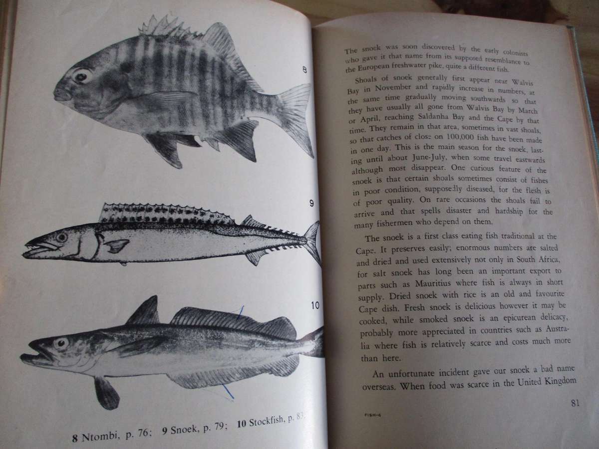 OUR FISHES. By JLB Smith