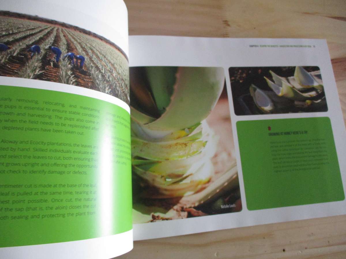 ALOE VERA - Nature's Ally to Health and Healing