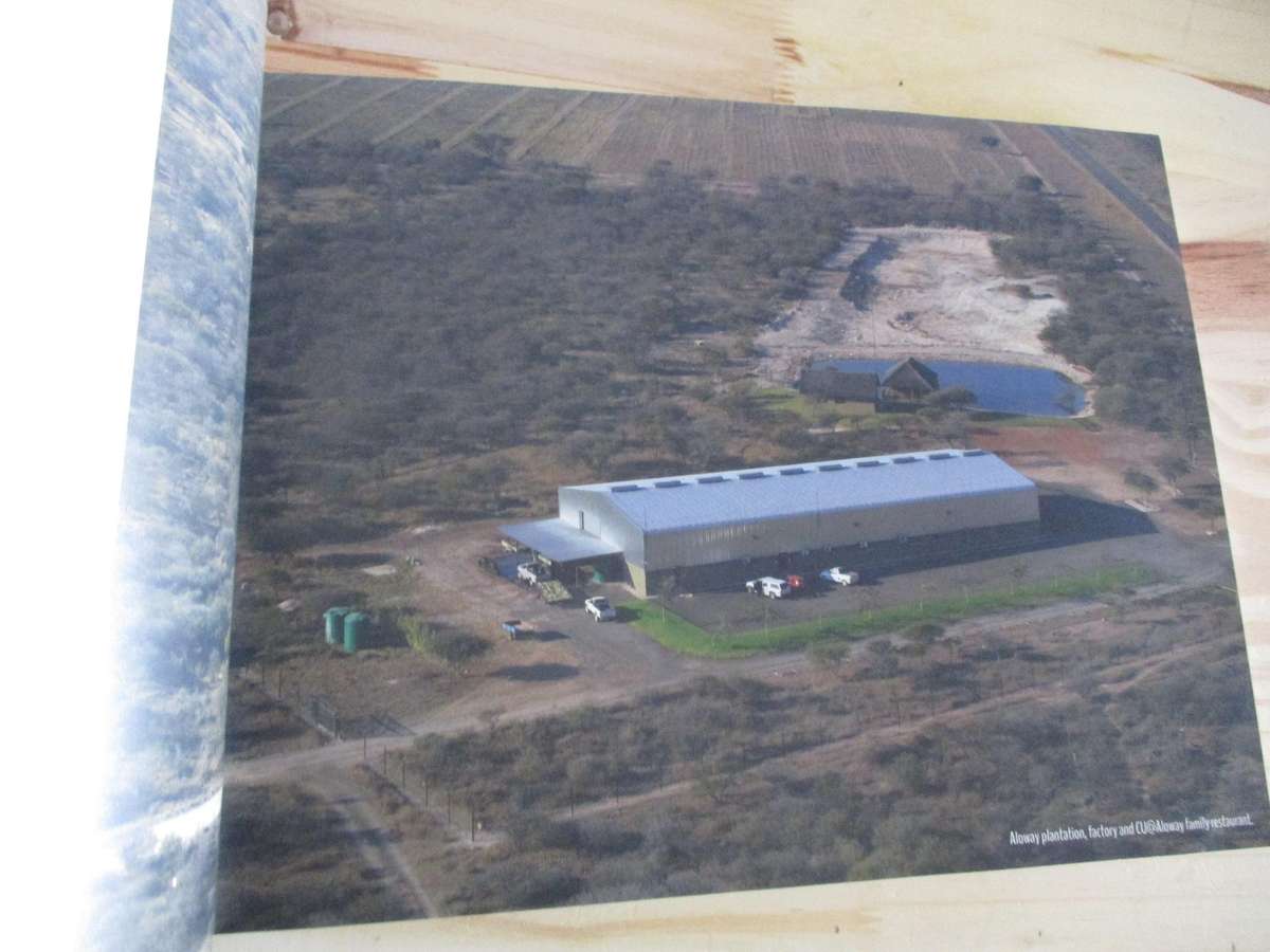 ALOE VERA - Nature's Ally to Health and Healing