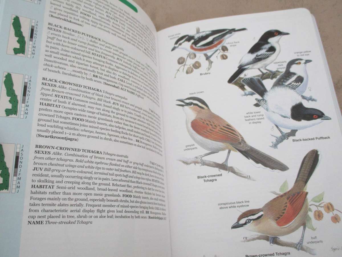 Roberts Bird Guide - Kruger National Park and adjacent Lowveld