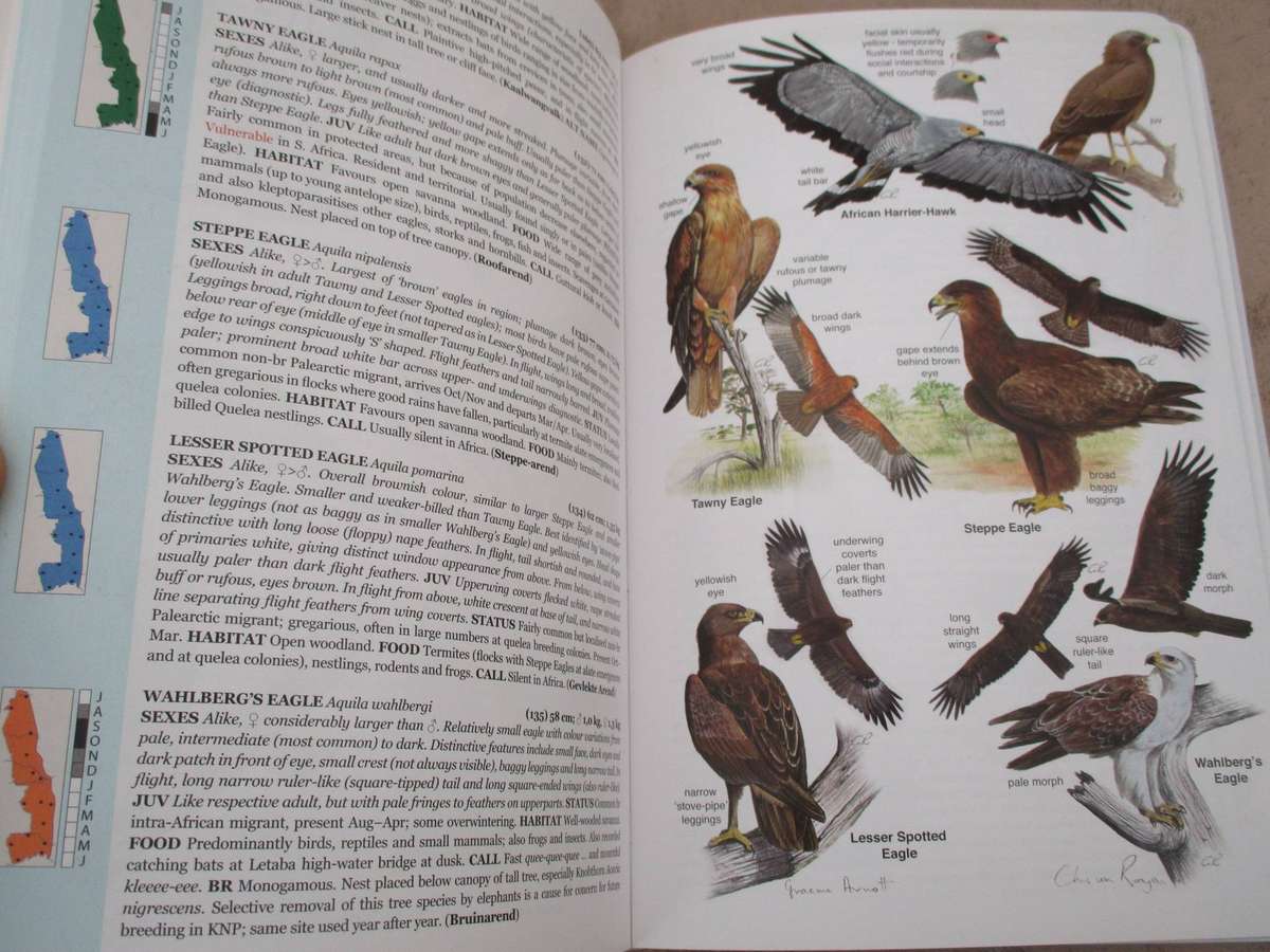 Roberts Bird Guide - Kruger National Park and adjacent Lowveld