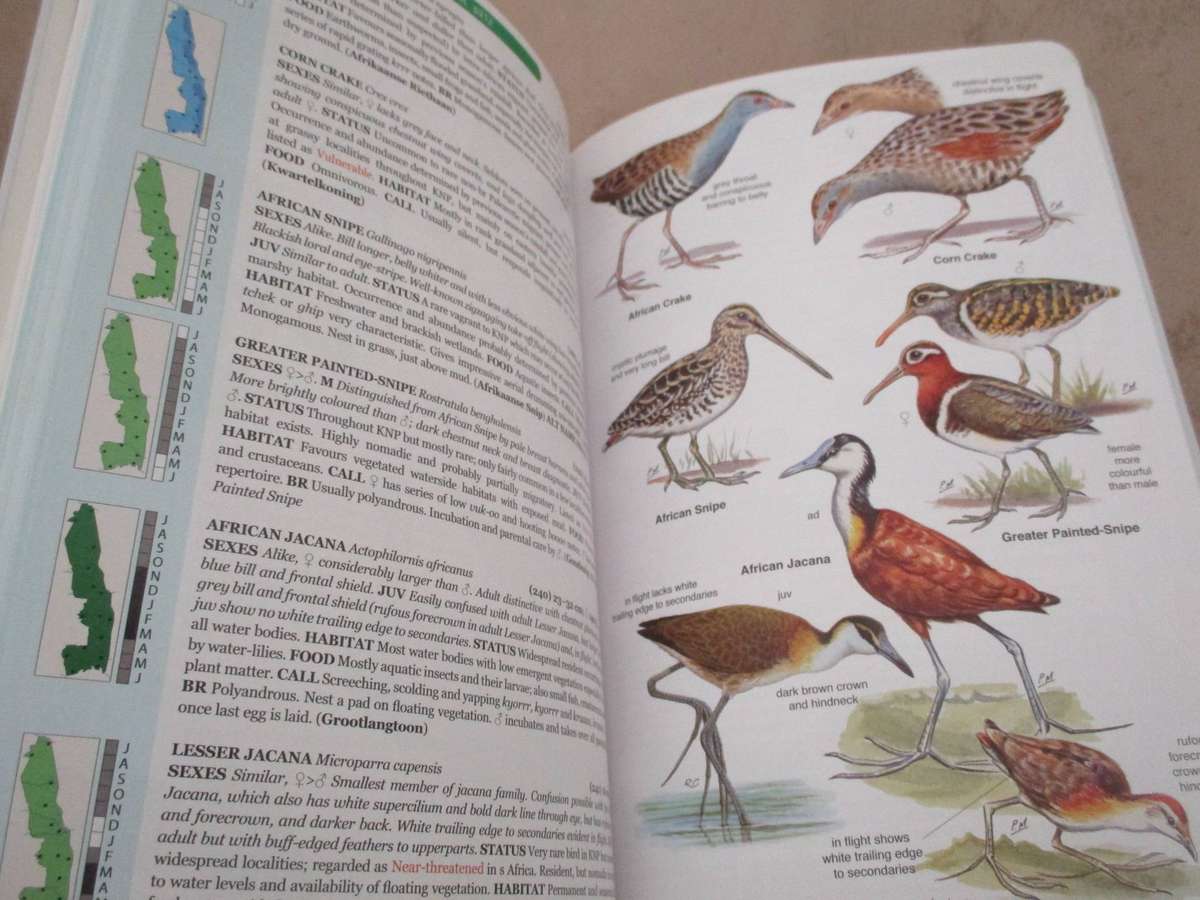 Roberts Bird Guide - Kruger National Park and adjacent Lowveld