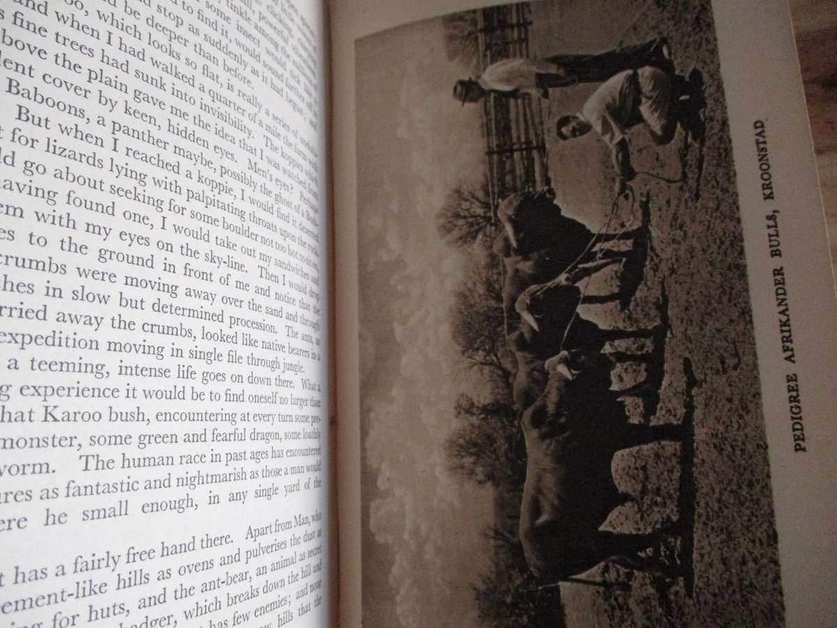 In Search of South Africa - HV Morton