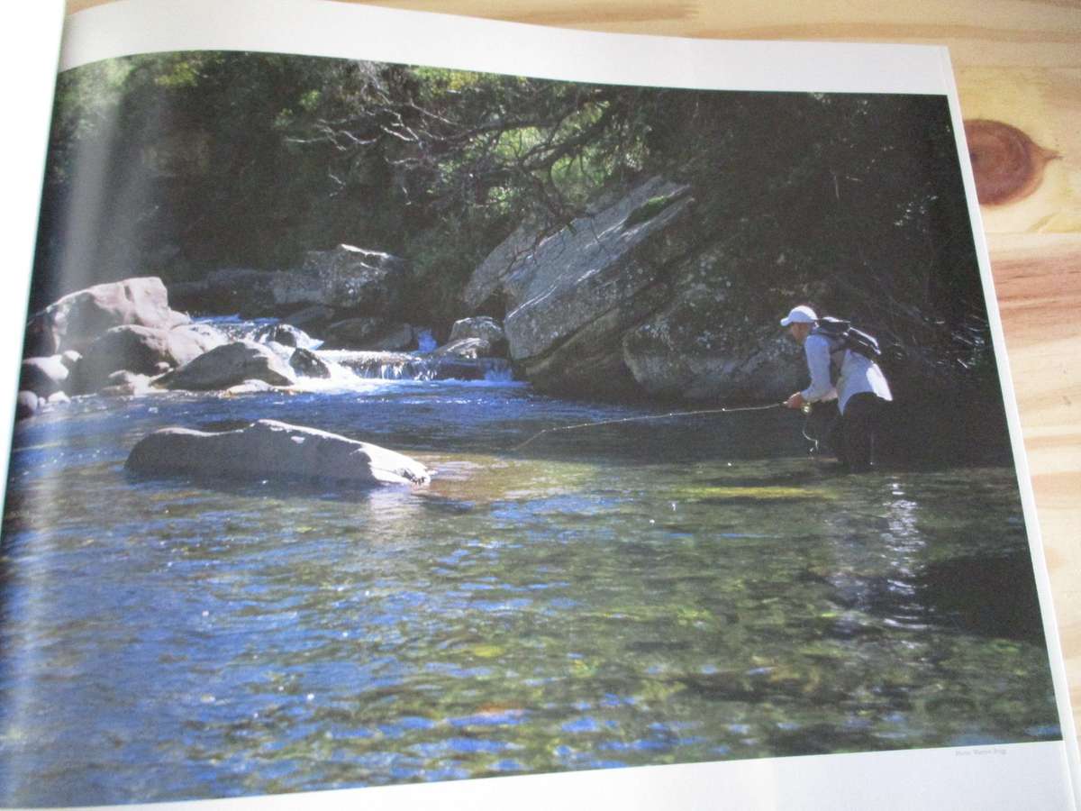 Call of the Stream - A flyfisher's passion for hunting trout in mountain streams. Peter Brigg