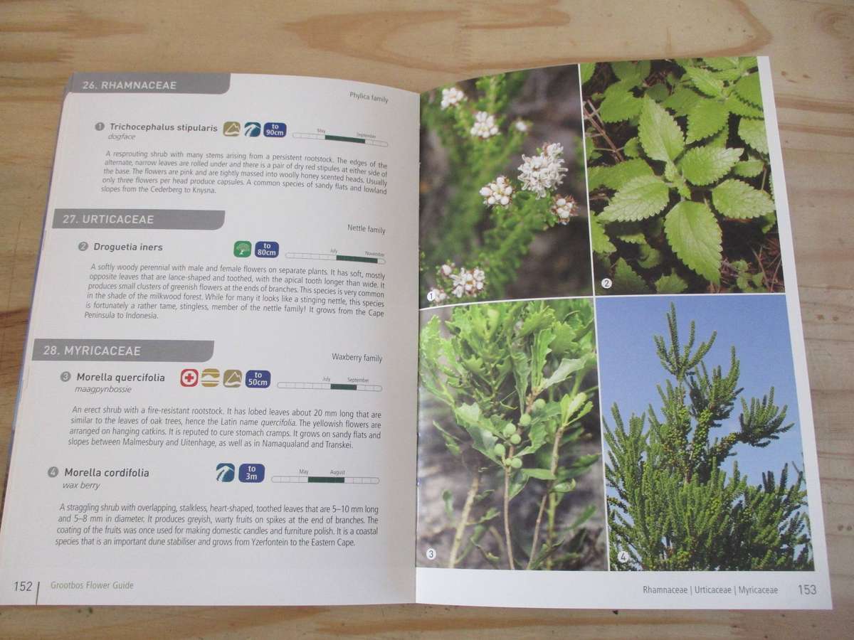 Field guide to the GROOTBOS NATURE RESERVE and the Walker Bay region
