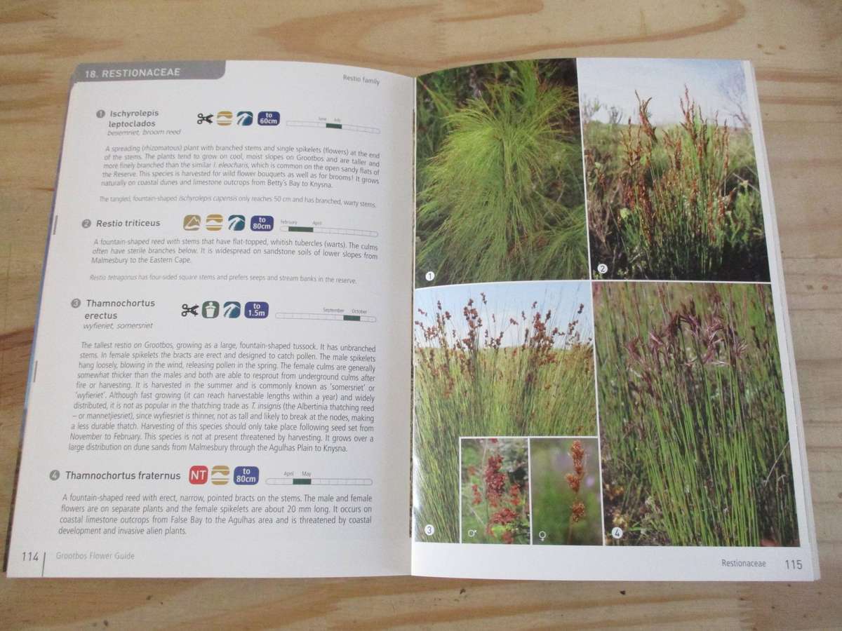 Field guide to the GROOTBOS NATURE RESERVE and the Walker Bay region