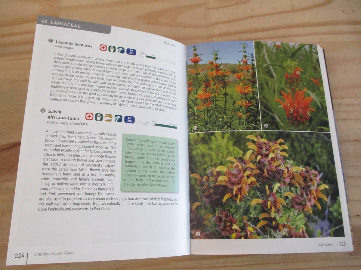Field guide to the GROOTBOS NATURE RESERVE and the Walker Bay region