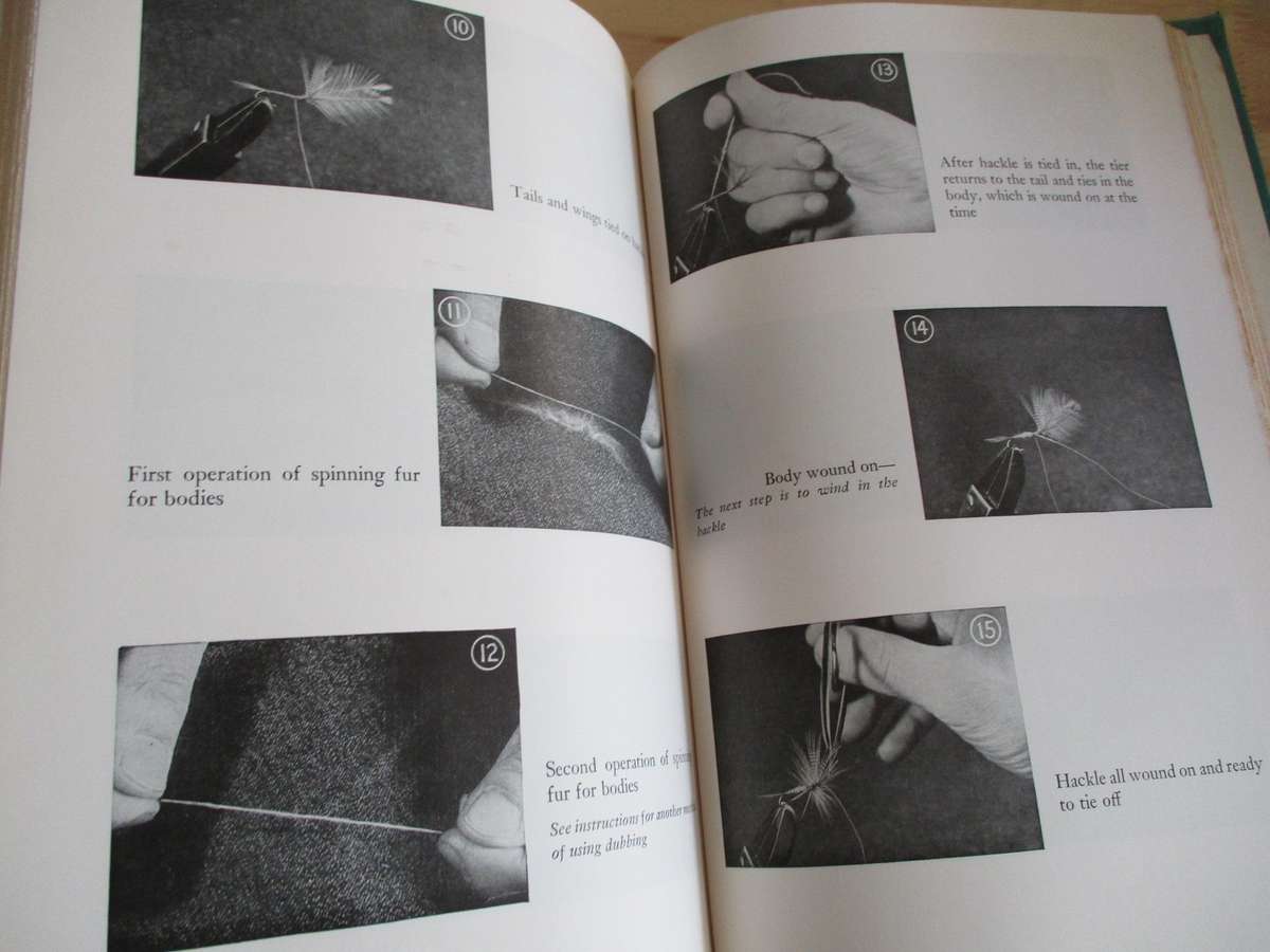 TROUT. By Ray Bergman