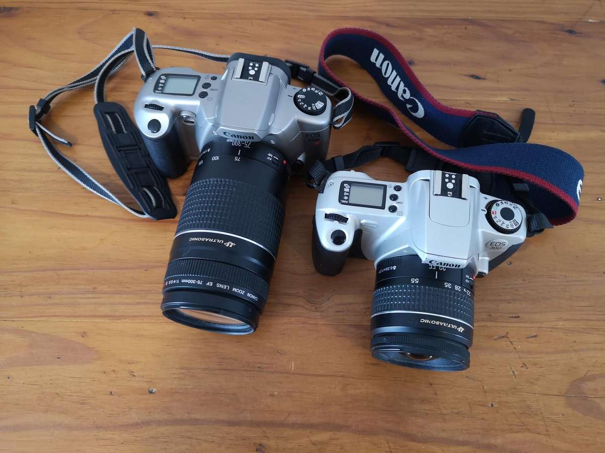 Two Canon EOS 35mm film cameras