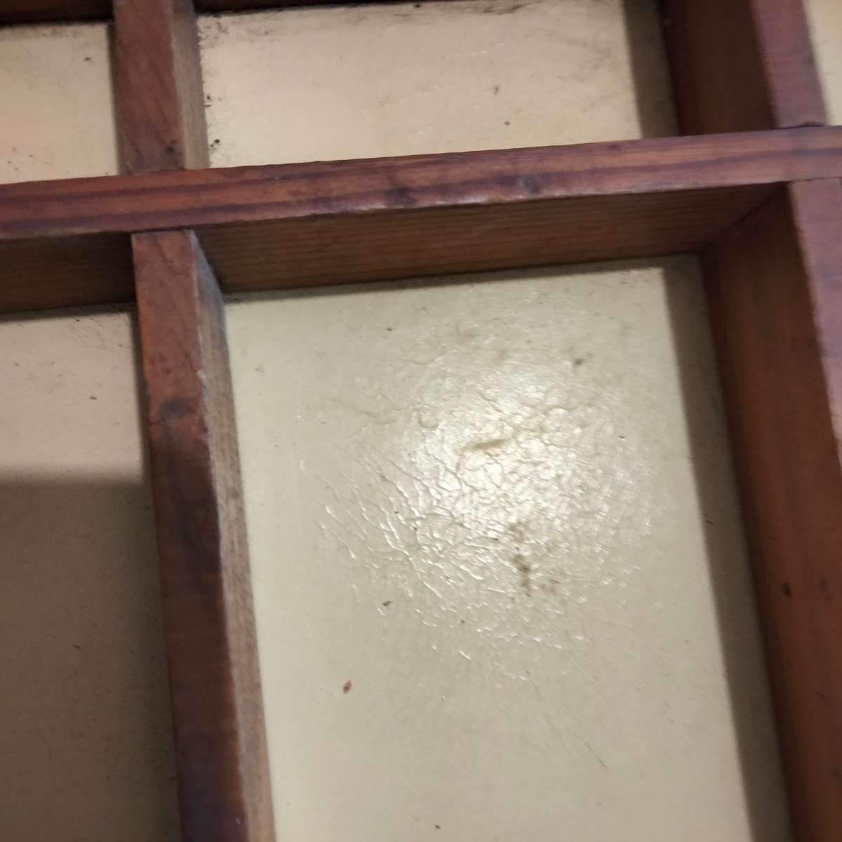 Printers Tray 31 spaces - showing ware Look at my Buy Now listings No Waiting