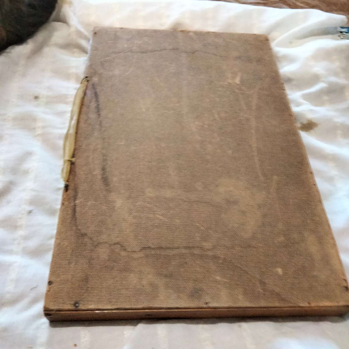 Printers Tray 31 spaces - showing ware Look at my Buy Now listings No Waiting