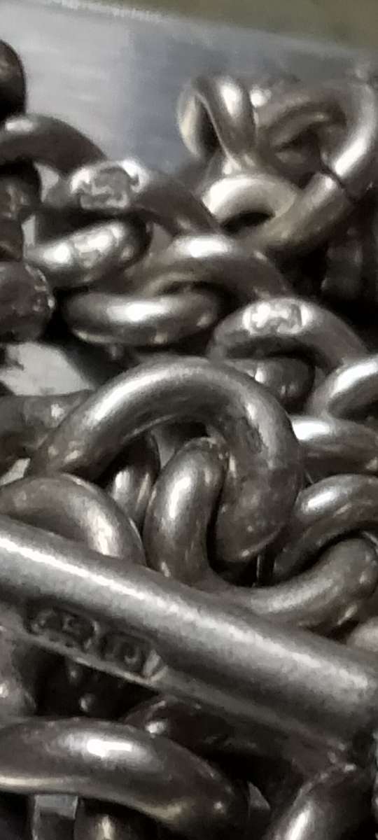 Antique STERLING SILVER double Albert Fob Chain T bar dog clips Middle dangle WWC lion Passant D