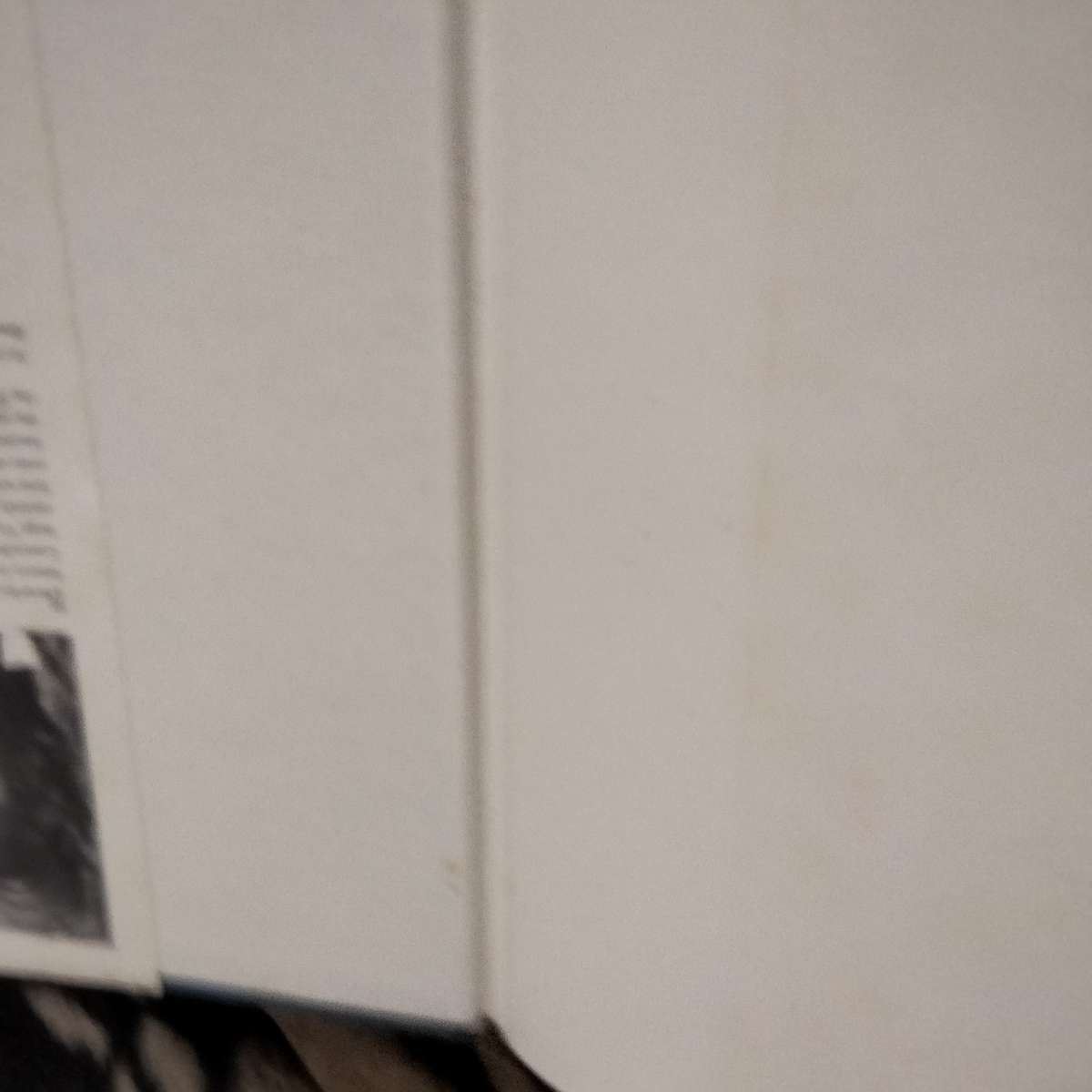 Roses have Thorns -Author Beverley Hughesdon HARDCOVER LOOK AtMy BUY NOW items NO WAITING Pre-owned