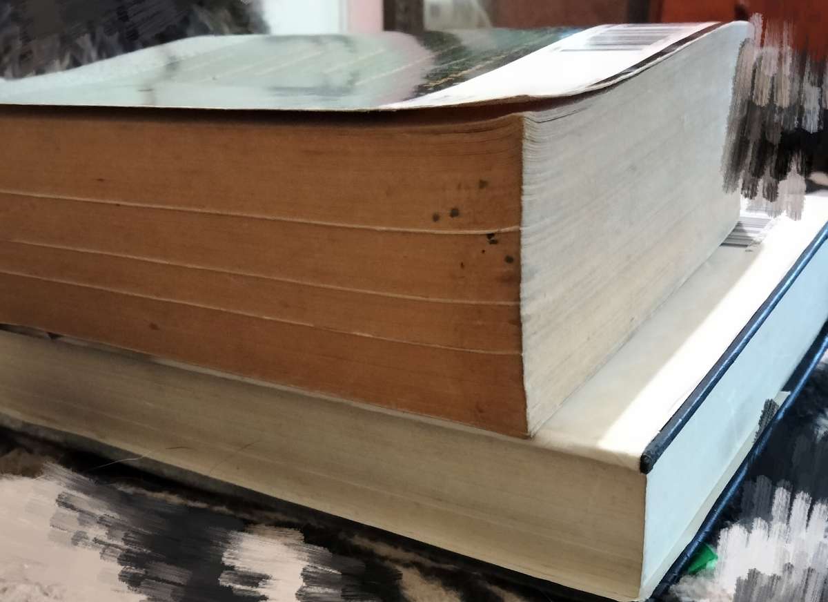 Nelson Mandela Conversations with Myself 2010+Long Walk to Freedom 1995 Shades of Difference 2007