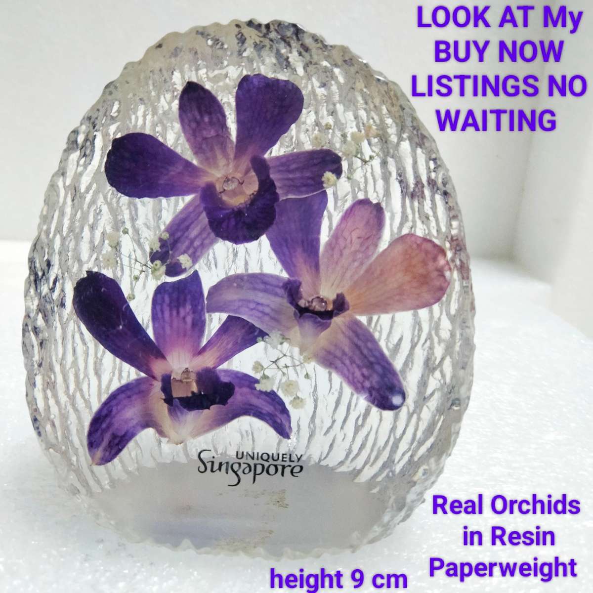 real ORCHIDS preserved in resin paperweight SingapoLOOK at My BUY NOW LISTINGS NO WAITING