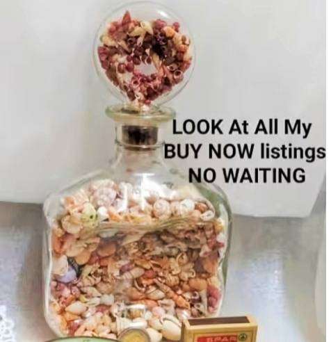 Bottled Sea Shells- Clear bottle full - variety of beautiful Sea Shells Even the stopper WOW