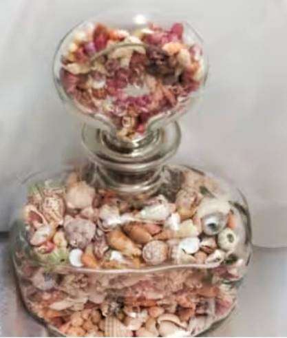 Bottled Sea Shells- Clear bottle full - variety of beautiful Sea Shells Even the stopper WOW