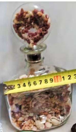 Bottled Sea Shells- Clear bottle full - variety of beautiful Sea Shells Even the stopper WOW
