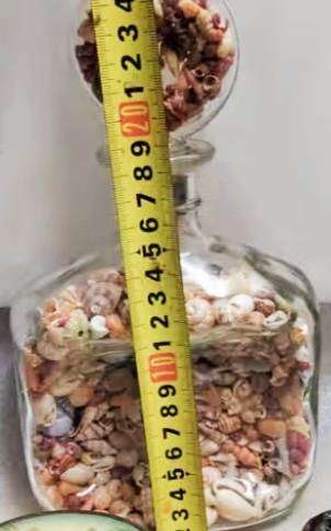 Bottled Sea Shells- Clear bottle full - variety of beautiful Sea Shells Even the stopper WOW