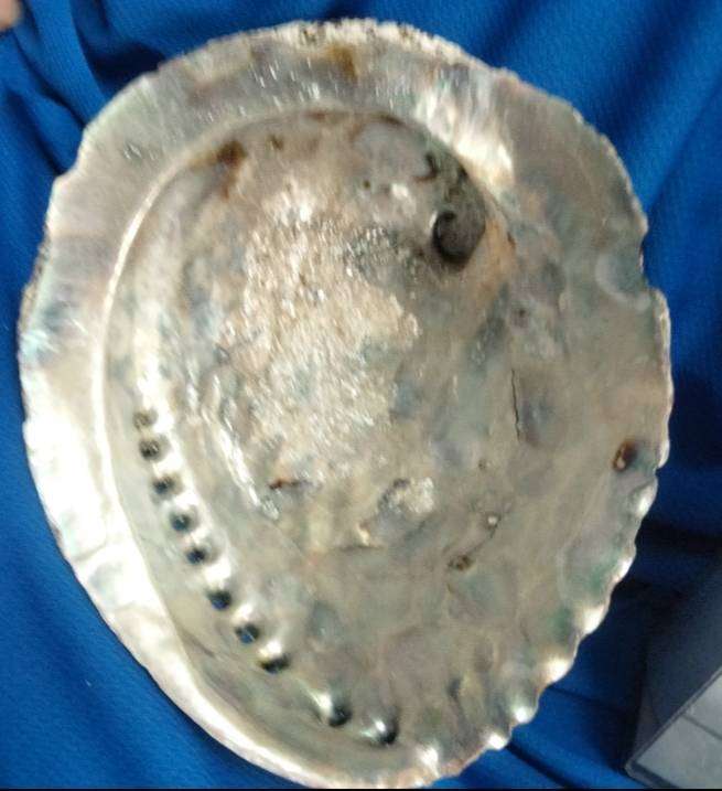 Abalone organic shell+2 glass bottles 1 full blue salt crystals+Perfume empty+stopper 3 hankies