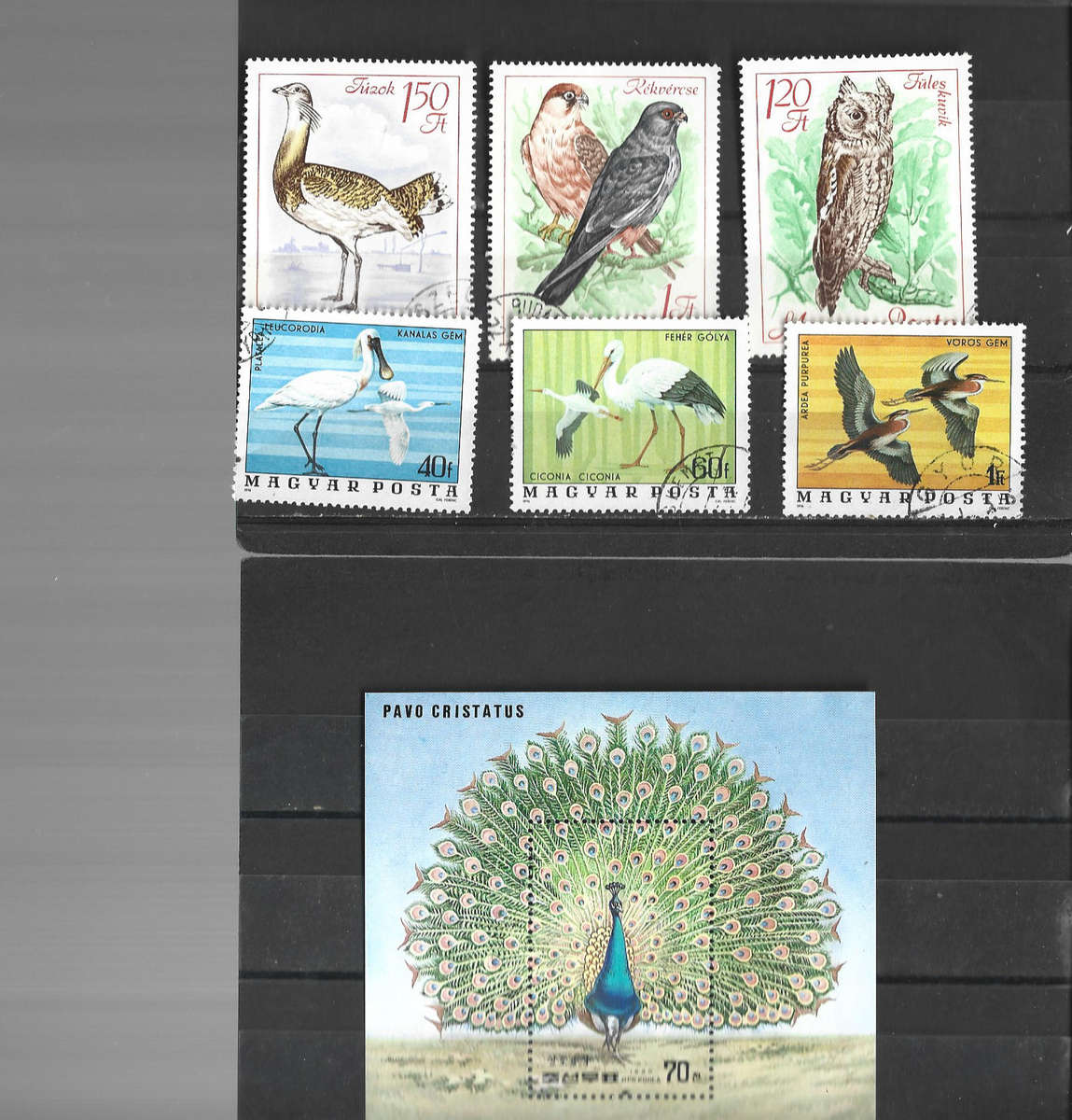 Mixed birds thematic used apart from MNH Mini sheet