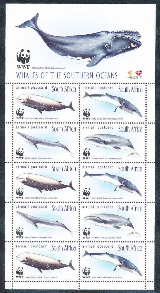 South Africa - 1998 - Whales of Southern Ocean - 1 sheet of 10 airmail postcard stamps u.m.