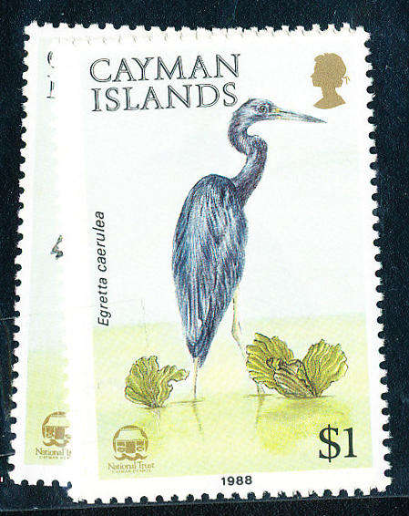 Cayman Islands - 1986 - Birds - set of 4 mint unhinged . SG 667-670 .