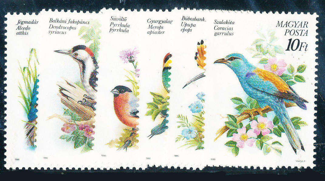 Hungary - 1990 - Birds - set of 6 mint unhinged . SG 3960-3965 .