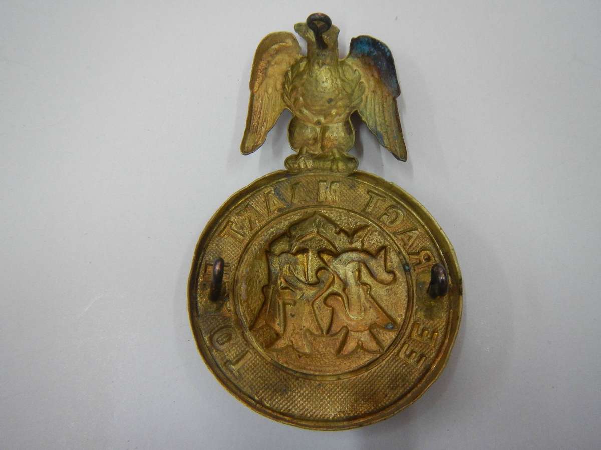 ZARP Hemet badge