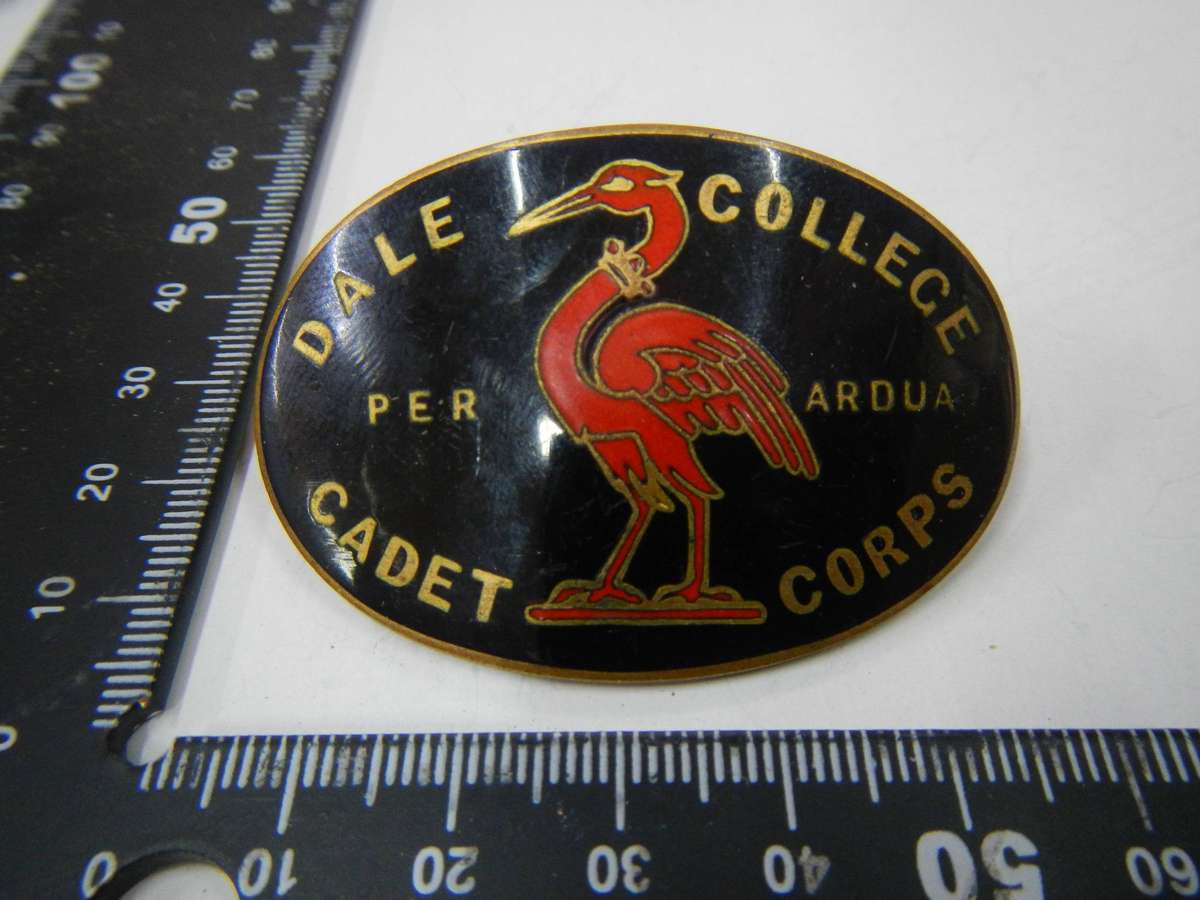 Dale college cadet corps enameled cap badge