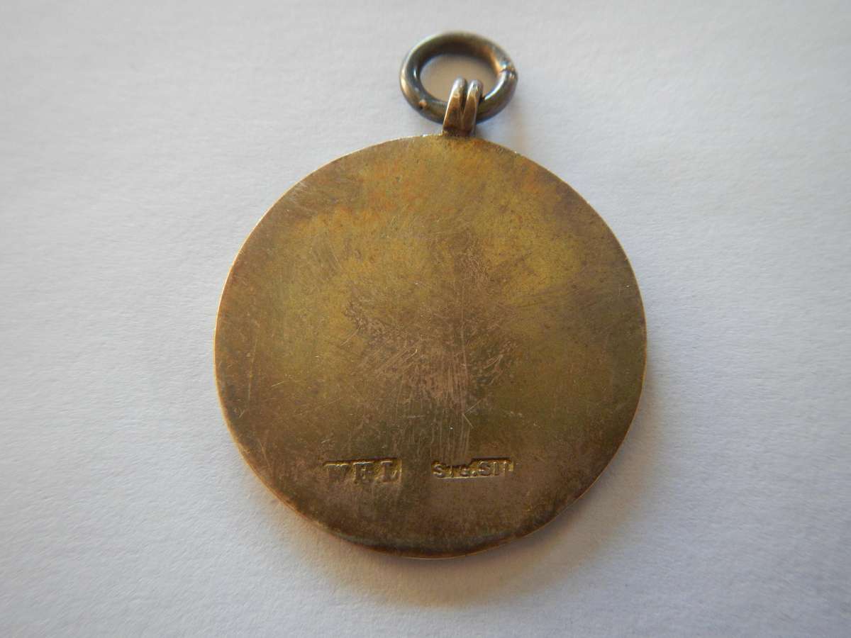 Unknown Transvaal enameled medal / slight damage to the enamel, see photo.