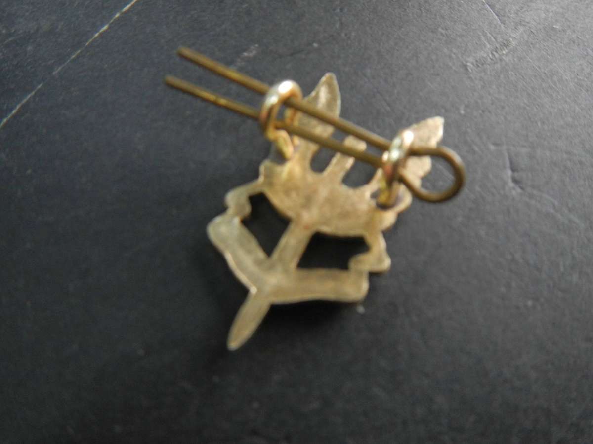 Rhodesian SAS Beret badge