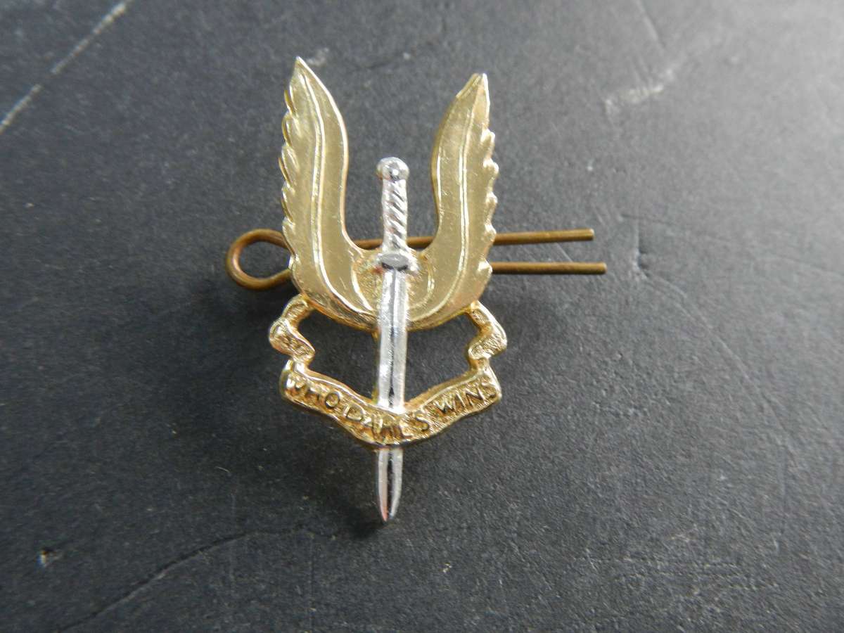 Rhodesian SAS Beret badge
